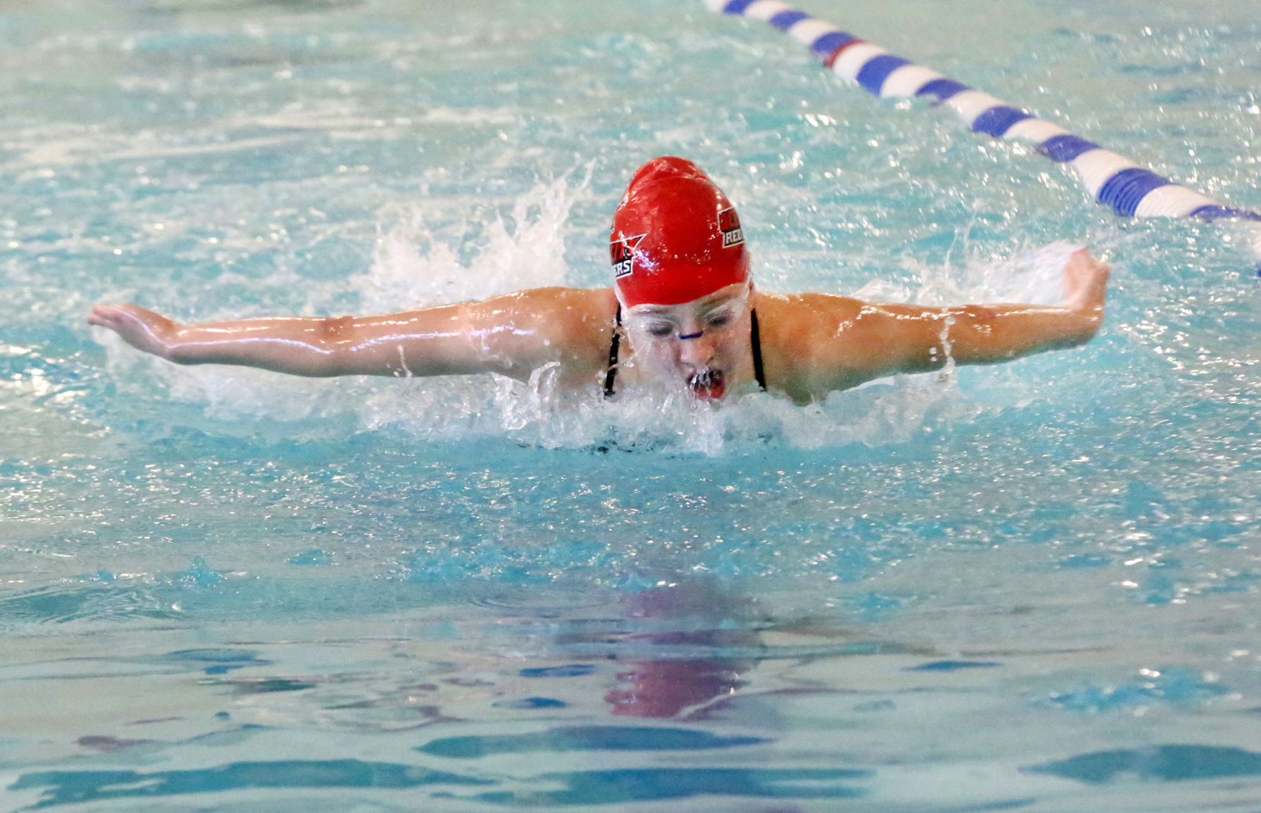 Ocean City Ridley Swimming
